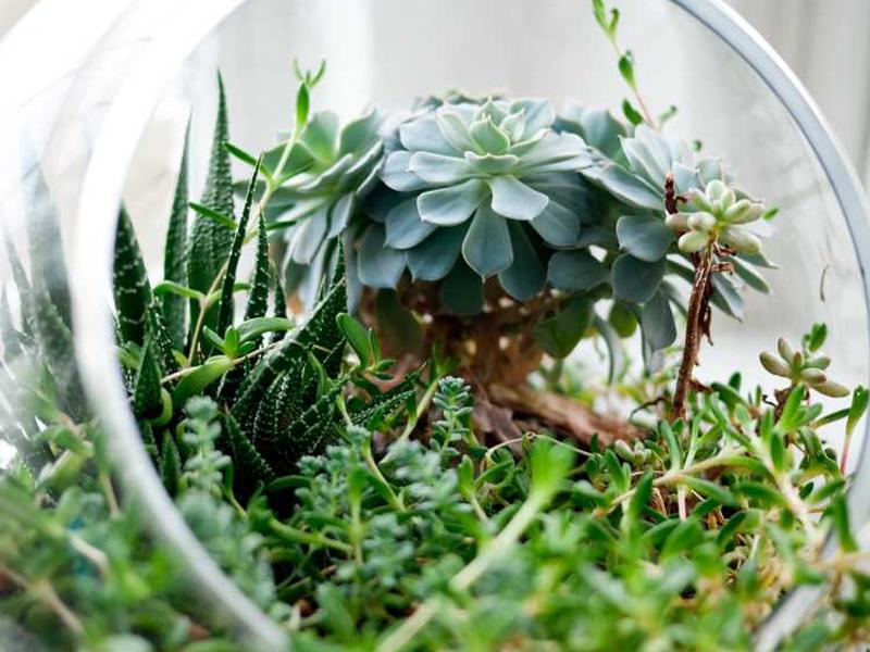 Rize-Trabzon Hafta Sonu